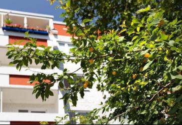 Premium-Wohnen mit Sonderkonditionen / Premium Living with Exclusive Offers
