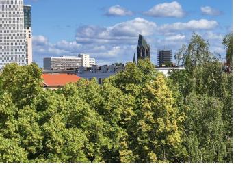 Wunderschöne, sehr helle, zentral gelegene 4-Zi-Whg mit 2 Sonnen-Balkonen &Aufzug, Erstbezug