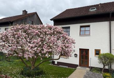 Bezugsfreies Reiheneckhaus in Laineck