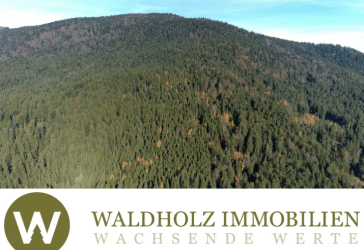 Vorschaubild Immobilie