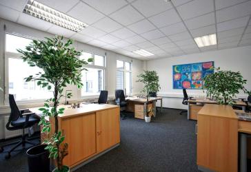Büro mit 570,66 m² und 24/7-Zugang - Startklar für Ihr Business!