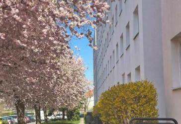 Zuhause fühlen: praktische 3-Zimmer-Wohnung