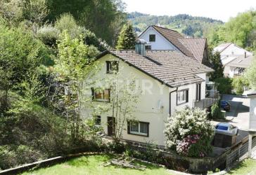 Vorschaubild Einfamilienhaus