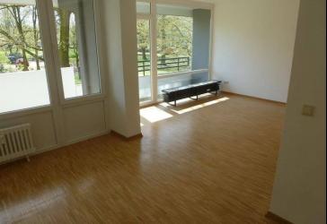 1-Zimmer-Wohnung in Bonn Heiderhof (5326_99)