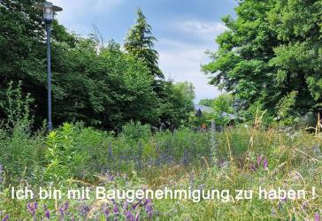 Vorschaubild Grundstück