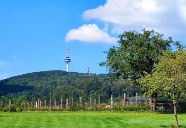 Traumhaftes Wohnen mit Weitblick in Höxter-Bödexen