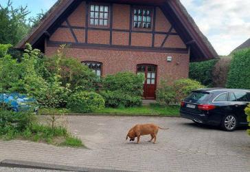 Vorschaubild Maisonettewohnung