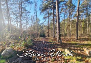 Vorschaubild Grundstück