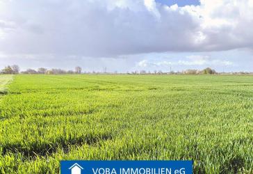 Verkauf im Bieterverfahren!