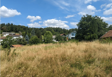 Vorschaubild Grundstück