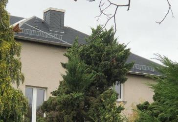 Mehrfamilienhaus zur Kapitalanlage in Dresden-Süd, 6 Wohnungen, 1 große WE demnächst freiwerdend