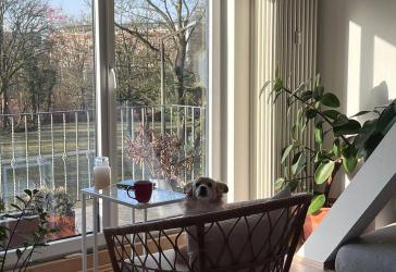 Vorschaubild Maisonettewohnung