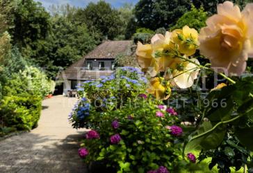 Vorschaubild Villa