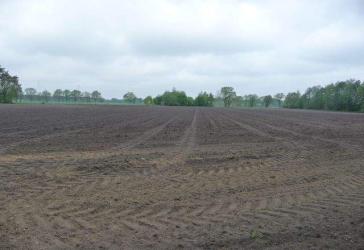 2,84 ha Ackerlandverkauf in Vörden, Gemeinde Neuenkirchen-Vörden