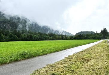 Landwirtschaftliche Fläche Grünland