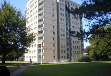 Gepflegte Etagenwohnung zur Miete in Münster - Wentzel Dr.