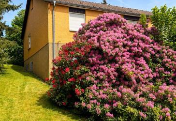 Neuer Preis - Bestes FULDA: Traumgrundstück mit Bestandsimmobilie am Aschenberg - unverbaubarer Westblick in den Vogelsberg