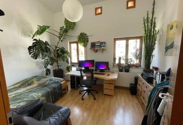 Helles WG-Zimmer in schöner Maisonette-Wohnung in zentraler Lage (in der Nähe vom ZOB)