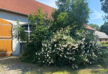 Vorschaubild Sonstiges Haus