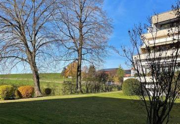Kleines charmantes Refugium, 2-Zimmer-Wohnung in Dietmannsried „Das Tor zu den Alpen“