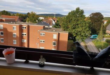 familienfreundliche 3-Zi-Whg in ruhiger, verkehrsgünstiger Lage in Empelde von Privat