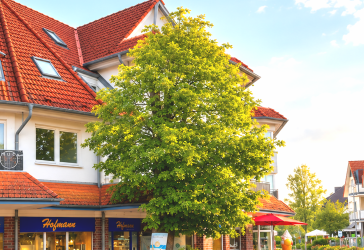 Dem Hafen so nah: Attraktives Ostseedomizil