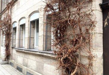 Renovierte City- Wohnung mit Flair ...