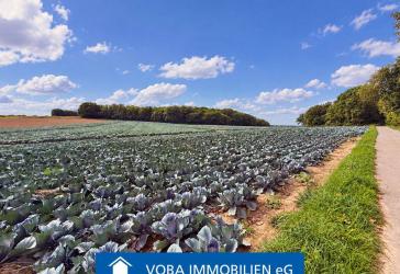 Vorschaubild Immobilie