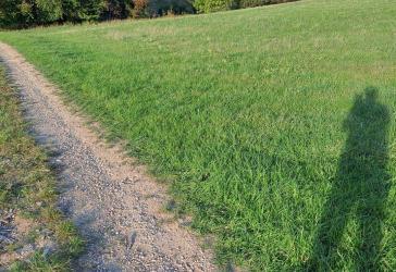Vorschaubild Immobilie