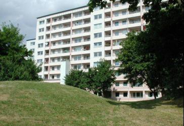 renovierte 2 1/2 Zimmer Wohnung