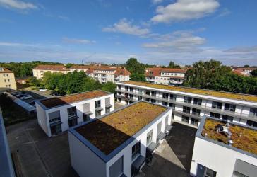 Studentenwohnung direkt am Beitz-Platz