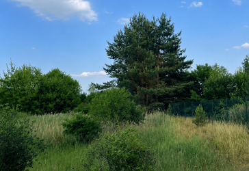 Vorschaubild Grundstück
