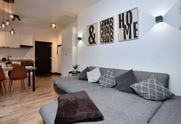 Modern möbliertes 1-Zimmer-Apartment mit Terrasse und Stellplatz in Alleinlage bei Buchenberg