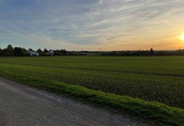 Vorschaubild Grundstück
