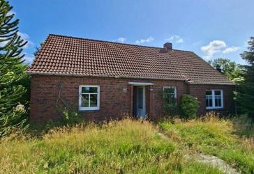 Gebotsverfahren: Schönes Einfamilienhaus mit Potential in Riepe