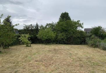 Baugrundstück am Kottenforst: 873 m² mit Süd-/Südwestlage in Bonn-Ippendorf - provisionsfrei