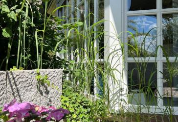 Privatverkauf - Einfamilienhaus in Sackgasse, in der Ortsmitte von Hasloh gelegen
