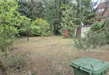 KLARE LINIEN, OFFENES LEBEN