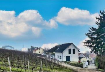 Ihr neues Zuhause direkt an den Weinbergen!