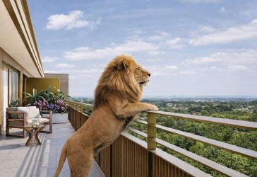 Vorschaubild Penthouse