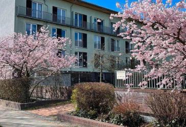 Renovierte 2 Zimmer Wohnung mit Loftfeeling in Pankow / Französisch Buchholz