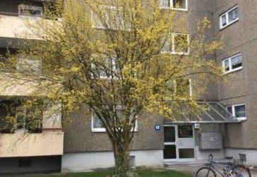 3,5 Zimmer-Wohnung mit neuem Bad