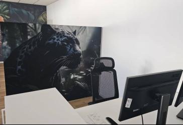 Vorschaubild Büro- /Praxis-Immobilie