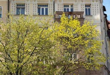 6-Zimmer-Eigentumswohnung im Jugendstilhaus, nahe Stadtpark, 90489 Nürnberg-Veilhof