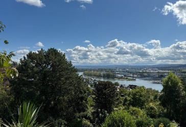 Traumhafte Terrassenwohnung mit Rheinblick & Naturpark vor der Tür