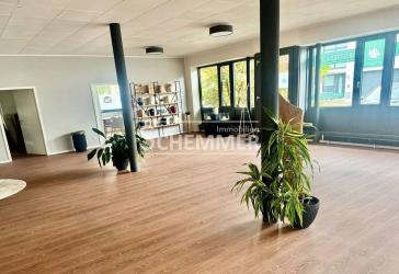 Waldkirch ++ Büro- / Laden- / Ausstellungsräume