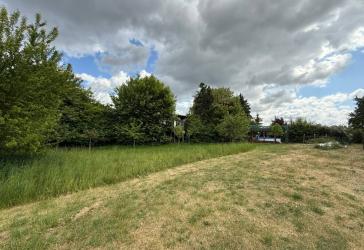 Moderner Bungalow (105 m²)!! Großzügiges wohnen im Grünen: 1.700 m² Grundstück in Barnin