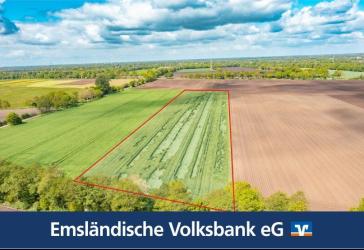 Rd. 2,18 Hektar Acker in Rhede -Brual zum Kauf