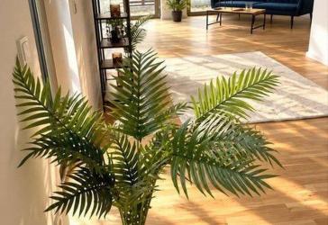 Terrassen-Wohnt(r)aum mit Loft-Charakter und Garten