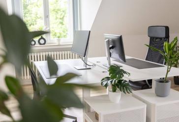 Vorschaubild Büro- /Praxis-Immobilie